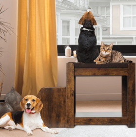 Pet Bunk Bed with Removable Step – Multi-Level Window Perch for Dogs and Cats with Cushion and Scratching Pad (Indoor Use) (Option: Pet bunk beds)
